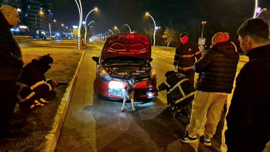 Arabanın çarptığı köpek tampona böyle sıkıştı! İlginç anlar kamerada 3